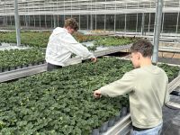 Doe Dag Betuwe on Stage brengt scholieren in contact met de sector