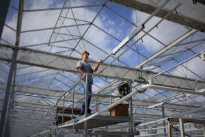 Investeren in toekomstbestendige glastuinbouw