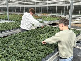 Doe Dag Betuwe on Stage brengt scholieren in contact met de sector